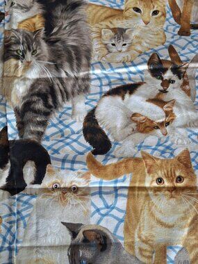 Daisy Kingdom Cotton Fabric #1872 Cats Meow Allover  1 yard x 44"